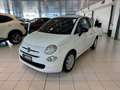 Fiat 500 III 2015 Benzina 1.0 hybrid Cult 70cv Blanc - thumbnail 2