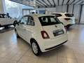 Fiat 500 III 2015 Benzina 1.0 hybrid Cult 70cv Blanco - thumbnail 4