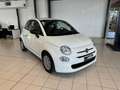 Fiat 500 III 2015 Benzina 1.0 hybrid Cult 70cv Blanc - thumbnail 8