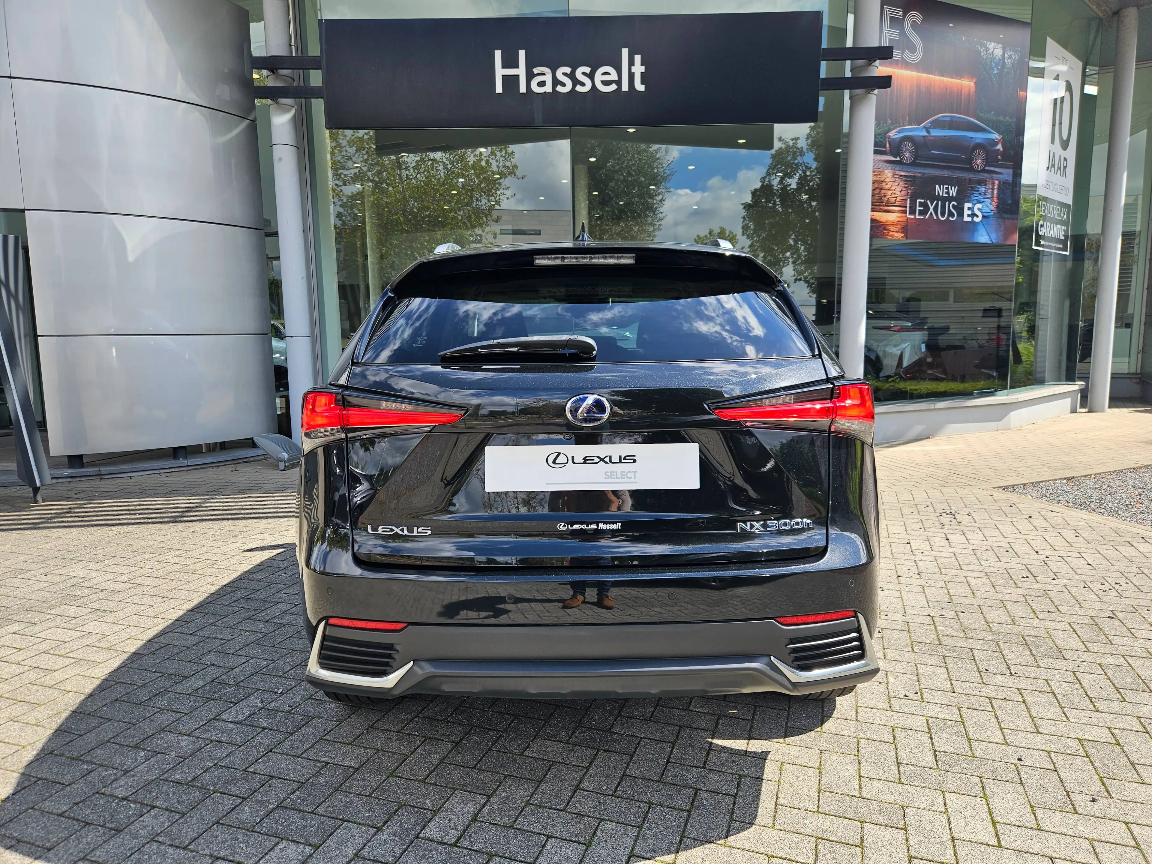 Lexus NX 300h NX 300h 2.5i AWD Executive Line E-CVT (EU6.2) — photo 6
