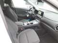 Hyundai KONA Edition 30+ Elektro 2WD Bianco - thumbnail 15