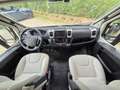 Westfield SE Westfalia  Globus 540 D - thumbnail 3