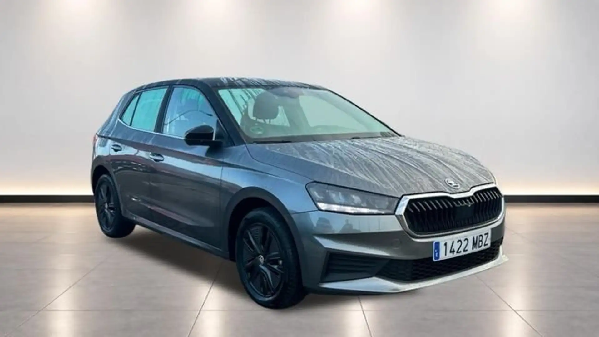 Skoda Fabia 1.0 TSI 81KW STYLE 110 5P Gris - 1