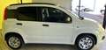 Fiat Panda 1.2 Lounge 69cv E6 Blanc - thumbnail 2