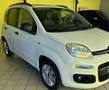 Fiat Panda 1.2 Lounge 69cv E6 Blanc - thumbnail 8