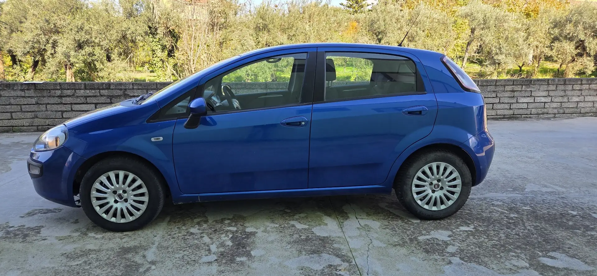 Fiat Punto Evo 1.3 mjt Dynamic s&s 95cv Blu/Azzurro - 2