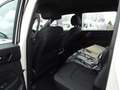 SsangYong Musso Grand Musso Work 2,2 D Blanc - thumbnail 7