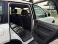 Volkswagen Touareg 3.0 TDI ACC Luft AHK Xenon Leder Scheckheft 3-Hand Weiß - thumbnail 9