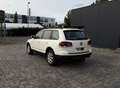 Volkswagen Touareg 3.0 TDI ACC Luft AHK Xenon Leder Scheckheft 3-Hand Weiß - thumbnail 2