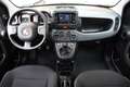 Fiat Panda 1.0 FireFly S&S Hybrid *BLOCK SHAFT*5 POSTI* Gris - thumbnail 8