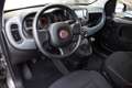 Fiat Panda 1.0 FireFly S&S Hybrid *BLOCK SHAFT*5 POSTI* Gris - thumbnail 5