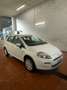 Fiat Punto 1.4 8V 5 porte NaturalPower Lounge Bianco - thumbnail 8