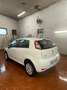 Fiat Punto 1.4 8V 5 porte NaturalPower Lounge Bianco - thumbnail 4