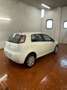 Fiat Punto 1.4 8V 5 porte NaturalPower Lounge Bianco - thumbnail 3