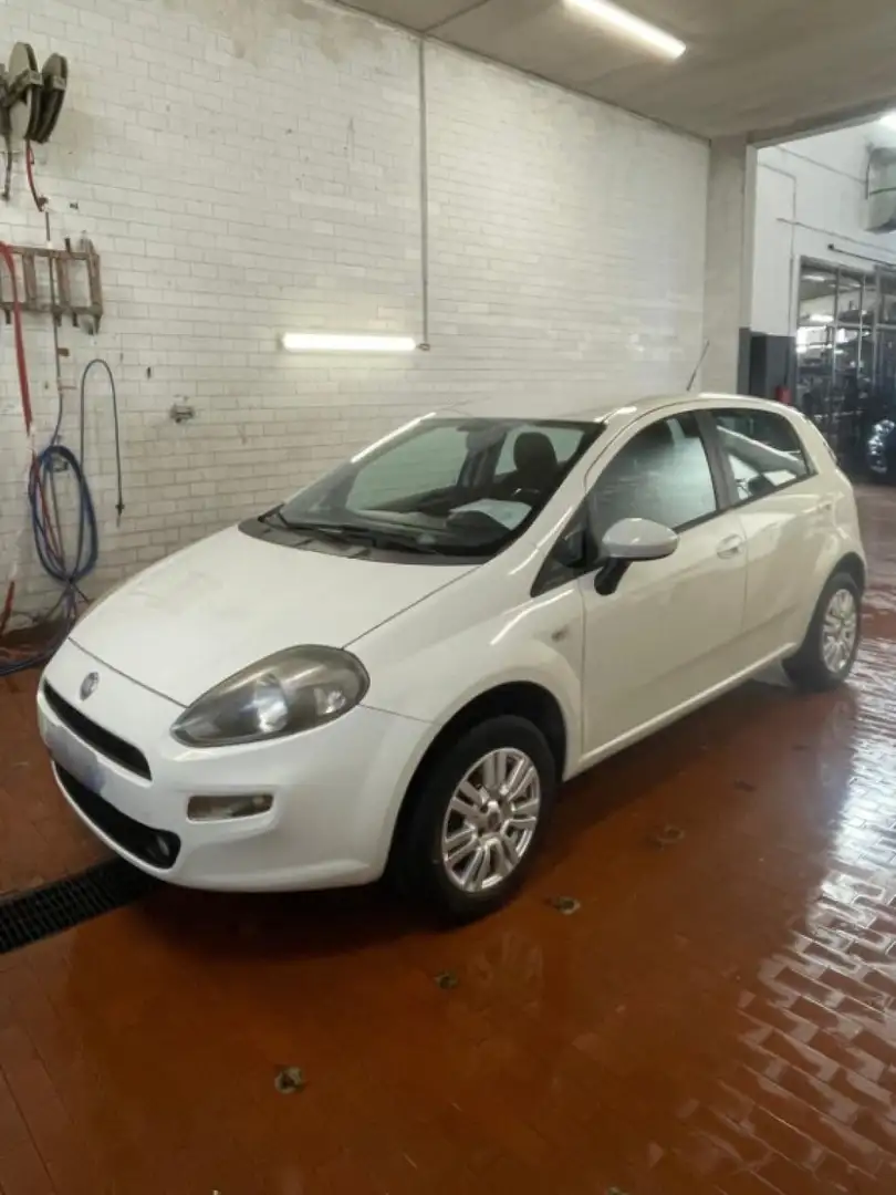 Fiat Punto 1.4 8V 5 porte NaturalPower Lounge Bianco - 1