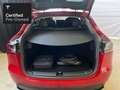 Tesla Model Y Rear-Wheel Drive “Certified Pre-Owned” Rouge - thumbnail 17