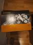 DS Automobiles DS 7 Crossback Performance Line Silber - thumbnail 11