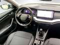 Skoda Octavia 1,5 TSI Selection Grau - thumbnail 12