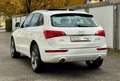 Audi Q5 3.0 TDI  quattro Weiß - thumbnail 5