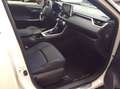 Toyota RAV 4 RAV4 2.5 HV (218CV) E-CVT 2WD Style Weiß - thumbnail 6