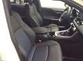 Toyota RAV 4 RAV4 2.5 HV (218CV) E-CVT 2WD Style Weiß - thumbnail 7