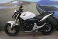 Honda Hornet 600 - 2011 - km 23225 Bianco - thumbnail 7