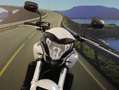 Honda Hornet 600 - 2011 - km 23225 Bianco - thumbnail 9
