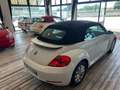 Volkswagen Maggiolino 1.2 TSI Design BlueMotion Technology Wit - thumbnail 8