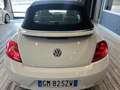 Volkswagen Maggiolino 1.2 TSI Design BlueMotion Technology Wit - thumbnail 5