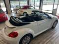 Volkswagen Maggiolino 1.2 TSI Design BlueMotion Technology Wit - thumbnail 15