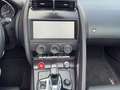 Jaguar F-Type F-TYPE 3.0 L V6 Chequered Flag NAVI, KESSY, RFK Weiß - thumbnail 10