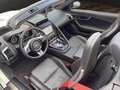 Jaguar F-Type F-TYPE 3.0 L V6 Chequered Flag NAVI, KESSY, RFK Weiß - thumbnail 6