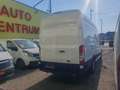 Ford Transit L4/H3 NETTO 19.990.- Ohne Anzahlung monatl. 499.- Weiß - thumbnail 5