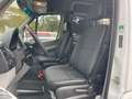 Mercedes-Benz Sprinter 316 CDI Kombi L3H2*8.Sitze*StHz*Rampe* Wit - thumbnail 22