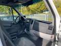 Mercedes-Benz Sprinter 316 CDI Kombi L3H2*8.Sitze*StHz*Rampe* Wit - thumbnail 8