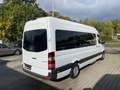 Mercedes-Benz Sprinter 316 CDI Kombi L3H2*8.Sitze*StHz*Rampe* Wit - thumbnail 7