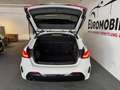 BMW 118 118 i M SPORT *Vollausstattung*PANO*RFK*HU*LED*B&O Weiß - thumbnail 43