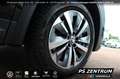 Skoda Kodiaq 2.0 TDI DSG 4x4 Selection AHK 360cam MATRIX Schwarz - thumbnail 14