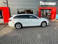 Skoda Octavia Combi Style Weiß - thumbnail 25