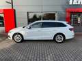 Skoda Octavia Combi Style Weiß - thumbnail 1