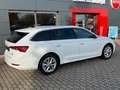 Skoda Octavia Combi Style Weiß - thumbnail 22