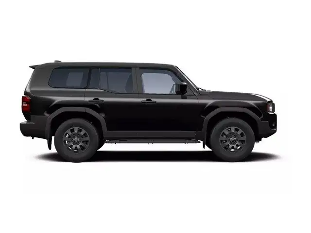 Toyota Land Cruiser view 6