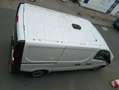 Renault Trafic 1,6 dCi 120 Komfort,Standh,Kastenwagen Blanc - thumbnail 12