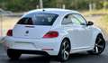 Volkswagen Beetle Design Navi 18' SHZ PDC Klimaautomatik Blanc - thumbnail 7