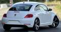 Volkswagen Beetle Design Navi 18' SHZ PDC Klimaautomatik Blanc - thumbnail 5