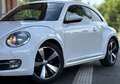Volkswagen Beetle Design Navi 18' SHZ PDC Klimaautomatik Blanc - thumbnail 4