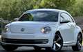 Volkswagen Beetle Design Navi 18' SHZ PDC Klimaautomatik Blanc - thumbnail 1