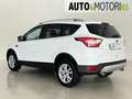 Ford Kuga 1.5 TDCI 120 CV S&S 2WD Titanium Bianco - thumbnail 6