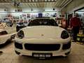 Porsche Cayenne - VERKAUFT - S Diesel Panorama Wit - thumbnail 6