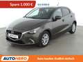 Mazda 2 1.5 Exclusive-Line *TEMPO*PDC*SHZ*ALU* Braun - thumbnail 1